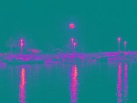 IMGP2657 edited (Medium)